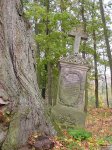 Foto: Stary cmentarz w Puchałach z zabytkowymi nagrobkami