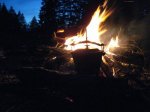 Foto: Płonie ognisko w lesie.