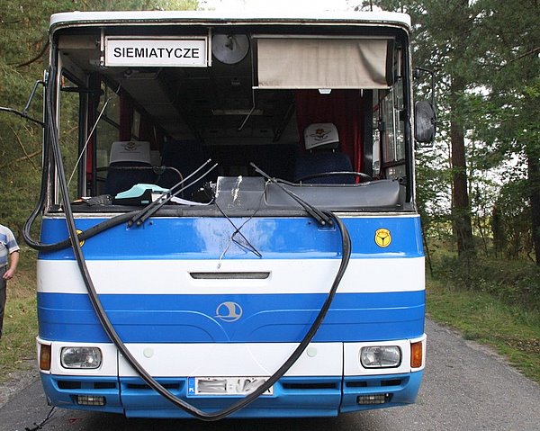 Przez przednią szybę w tym autobusie łoś wpadł do środka. (www.podlaska.policja.gov.pl)