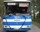 Przez przednią szybę w tym autobusie łoś wpadł do środka. (www.podlaska.policja.gov.pl)