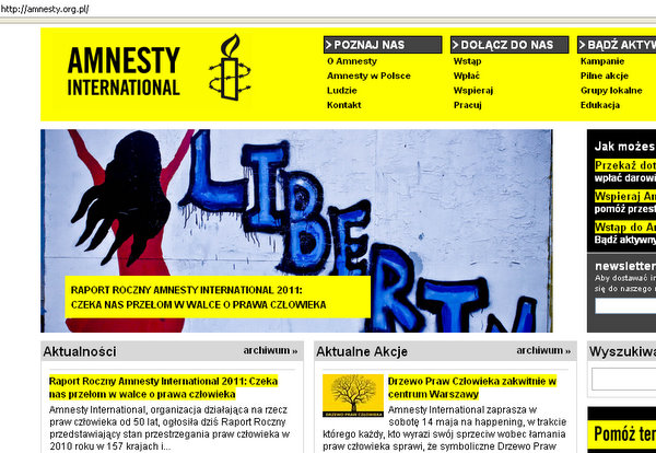 Witryna Amnesty International (pl)