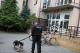 Bomby w piątnickim gimnazjum w czwartkowy poranek szukali policjanci i specjalnie wyszkolony pies Bąbel.