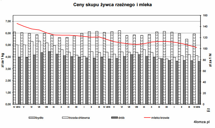 Czerwona linia przedstawia spadek cen skupu mleka w Polsce od wiosny 2014 roku. (źródło: raport GUS)