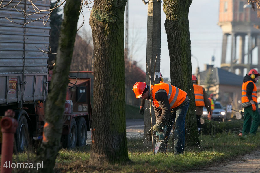 2013 rok. Wycinka drzew przy ul. Sikorskiego. Jak twierdził ratusz drzewa „kolidują z nową infrastrukturą, również podziemną”.