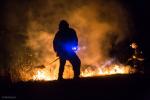 Foto: Seryjne pożary trawy w Piątnicy
