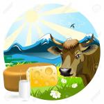 Foto: 03.IV Krowa=mleko+ser