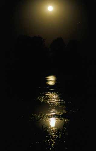 Narew nocą