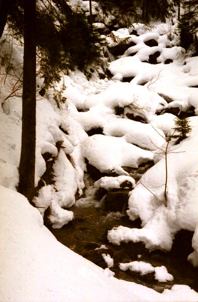 Pieniny - Homole, 2002