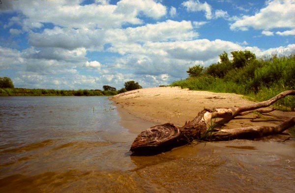 Narew, 2002