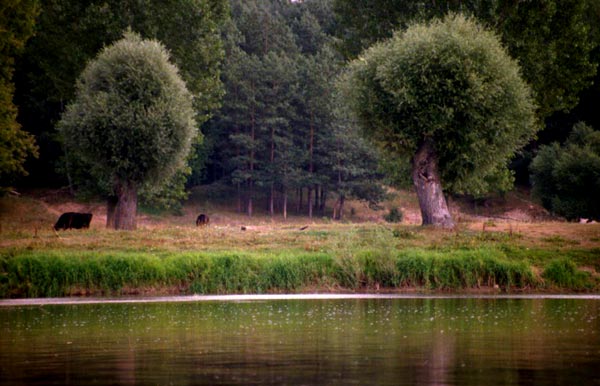 Nad Bugiem, 1999