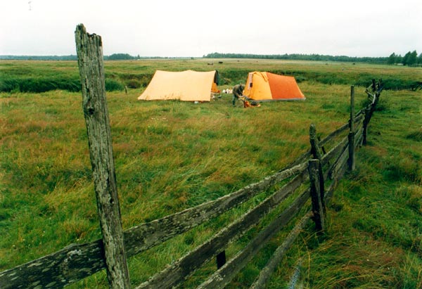 Obóz pod Narewką, 1993