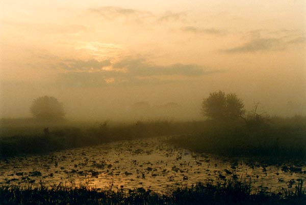 Narew, świt nad starorzeczem, 1993