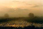 Foto: Narew, świt nad starorzeczem, 1993