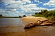 Narew, 2002