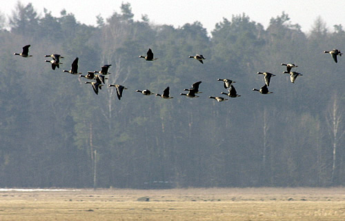 Główne zdjęcie