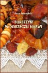 Foto: Jerzy Jastrzębski "Bursztyn w dorzeczu Nar...