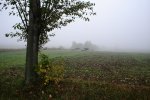 Foto: 