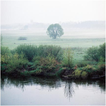 Narew, widok na Piątnicę 