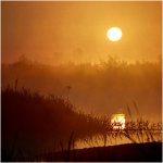 Foto: Narew, okolice Morgownik