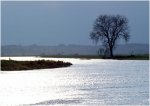 Foto: Narew, Rakowo