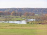 Narew w okolicach Rakowa