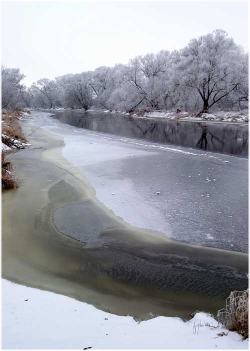 Narew; fot. Adam Babiel