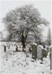 Foto: Cmentarz Żydowski; fot. Adam Babiel