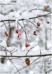 Foto: fot. Adam Babiel