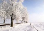 Foto: fot. Adam Babiel