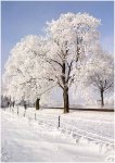 Foto: fot. Adam Babiel