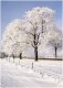 fot. Adam Babiel