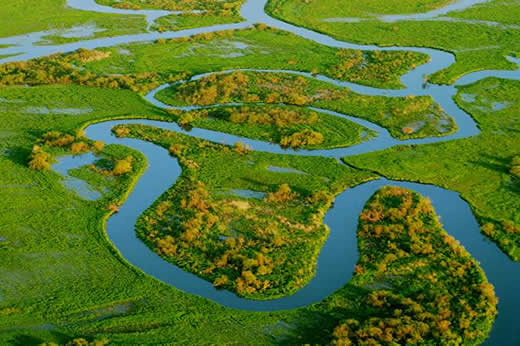 Biebrza, der naturbelassene Fluss.