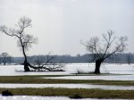 Foto: 