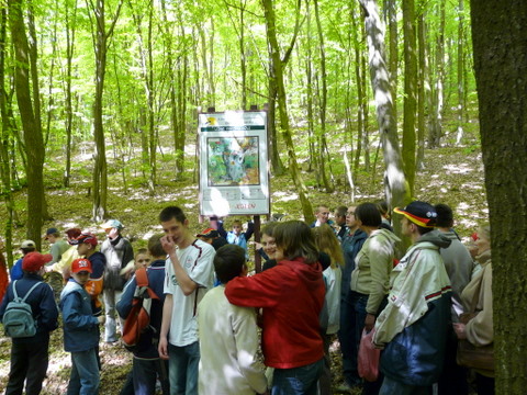 Przystanek na ścieżce przyrodniczej - Zespół Szkół Specjalnych w Łomży