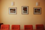 aranżacja wnętrza sali konferencyjnej   Miejskich Wodociągów i Oczyszczalni - Grudziądz
 ( fotografia - zdjęcia format A3 temat- przyroda makro- grzyby)