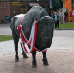 Foto: Poszukiwane imię dla żubra...