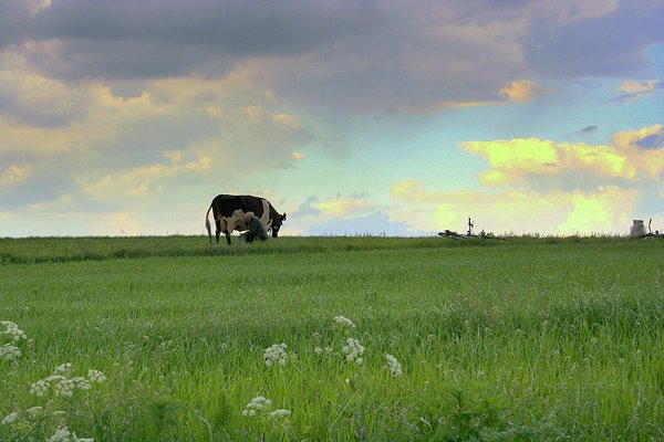 Główne zdjęcie