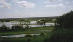 Zusammenfluss Biebrza und Narew.