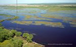 Foto: Brzostowo, rozlewiska Biebrzy - maj 2009 fot. Adam Babiel