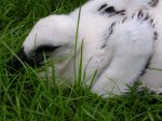 Foto: 