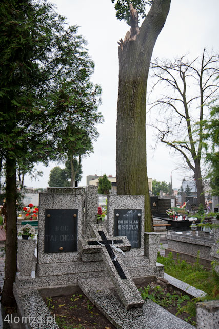 Główne zdjęcie