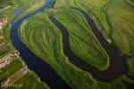 Foto: Narew nie jest martwa, ryby odpłynęły