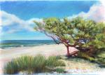 352 PLAŻA W JURACIE KIERUNEK HEL