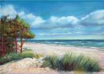 353 PLAŻA W JURACIE KIERUNEK HEL