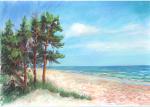 354 PLAŻA W JURACIE KIERUNEK HEL