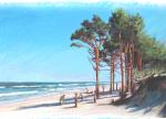 358 PLAŻA W JURACIE KIERUNEK HEL
