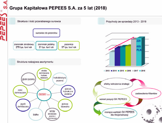 Strategia Grupy Kapitałowej PEPEES S.A. na lata 2013 - 2018