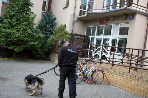 Bomby w piątnickim gimnazjum w czwartkowy poranek szukali policjanci i specjalnie wyszkolony pies Bąbel.