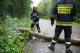 Strażacy usuwają powalone drzewo na Grobli Jednaczewskiej