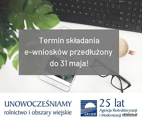 Główne zdjęcie